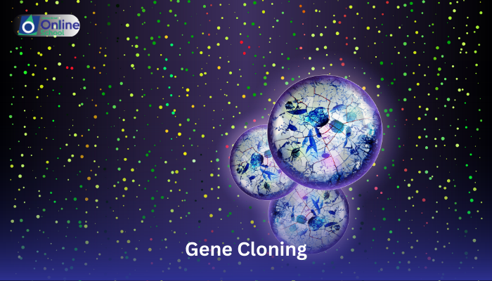 Lesson 01: Defining Gene Cloning